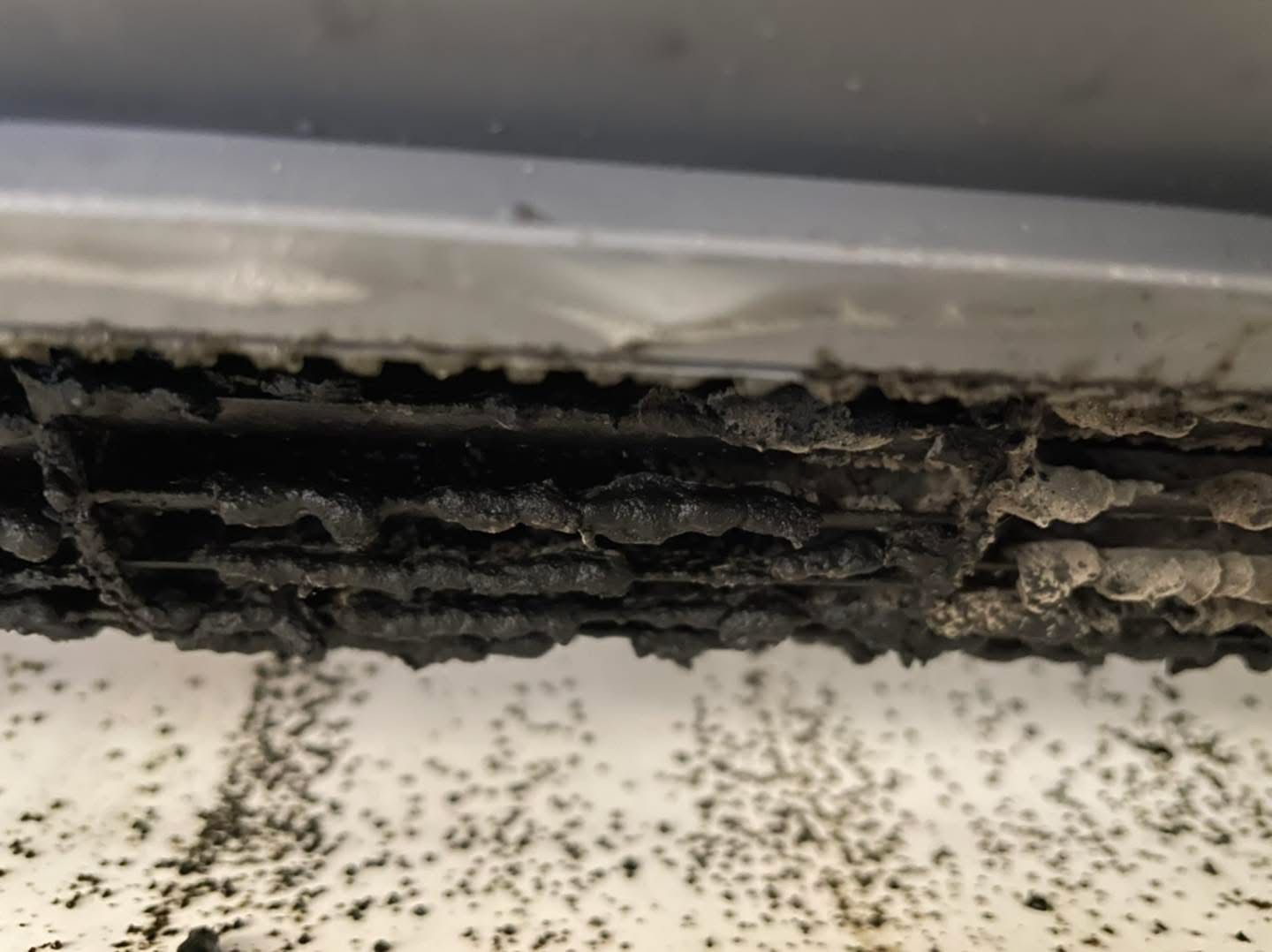 Close-up of black mould build-up inside an air conditioner