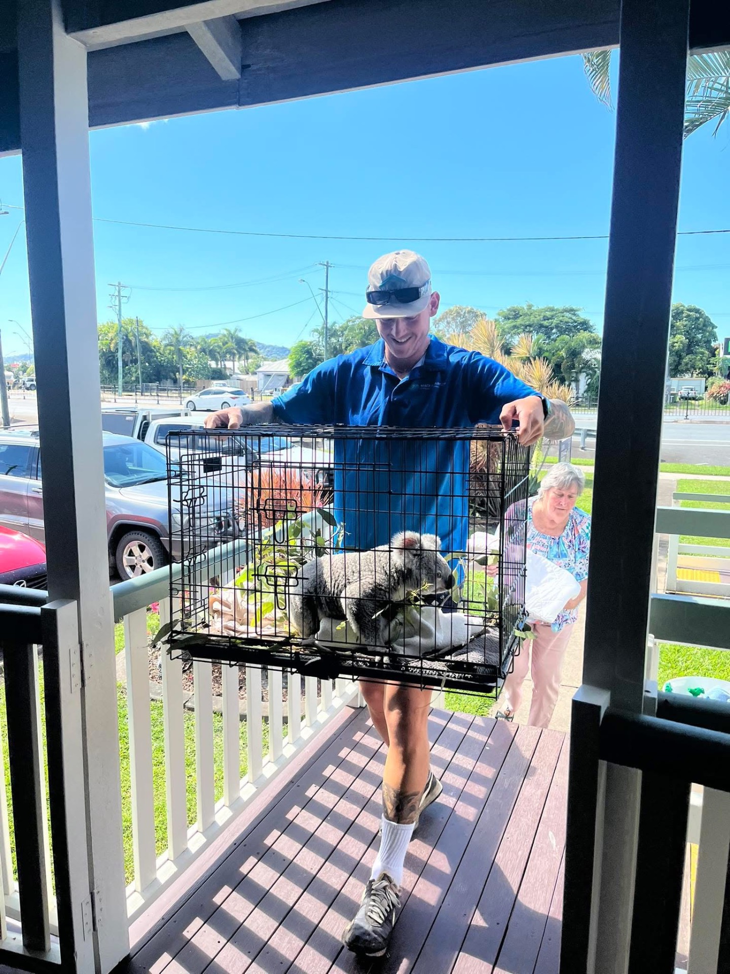 Mackay Aircon & Solar Cleaning team member helping carry a rescued koala