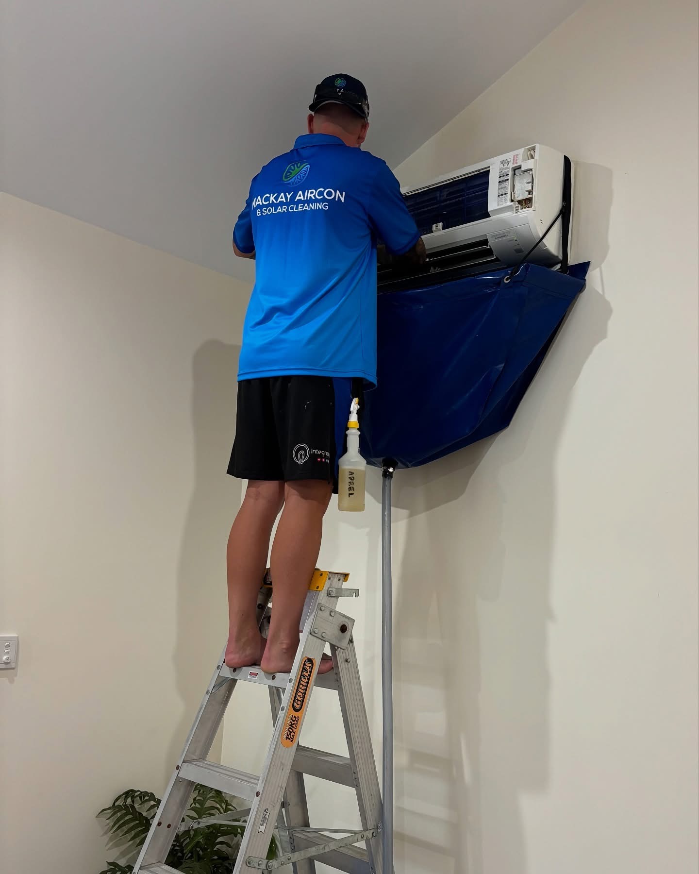 Technician on a ladder deep cleaning a split system with a catch bag fitted